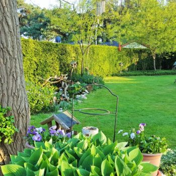 Vakantiehuis met tuin Bonte Specht
