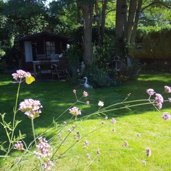 Vakantiehuis citroenvlinder