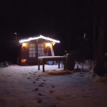 Winterfoto Bonte Specht