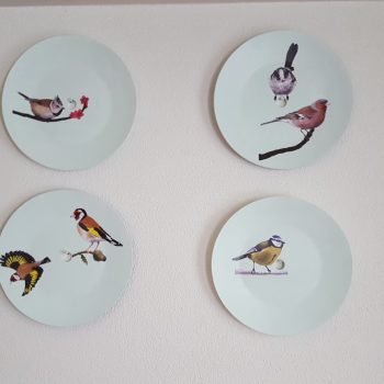 Decoratie Bonte Specht