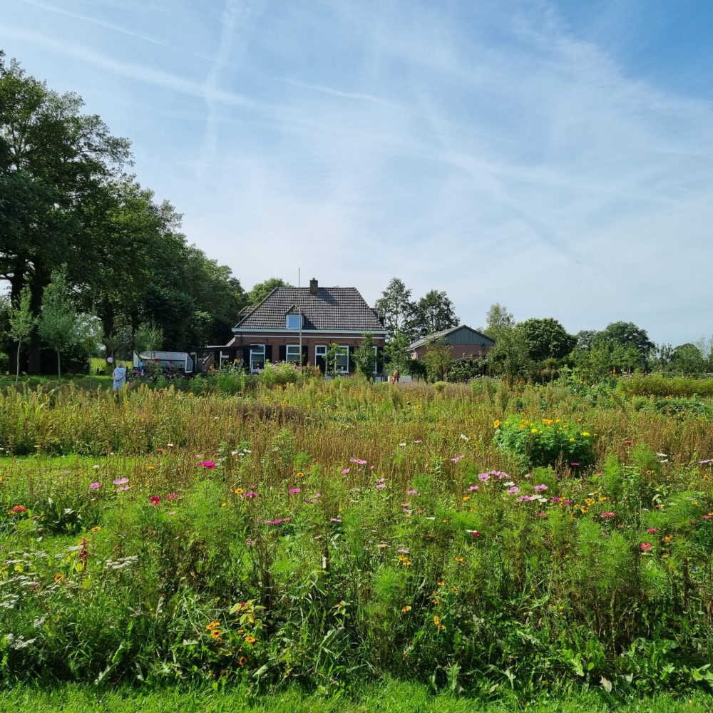 Pluktuin Dijkerhoek Overzicht