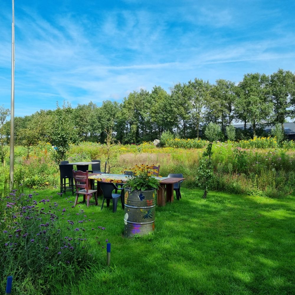 Pluktuin Dijkerhoek Terras