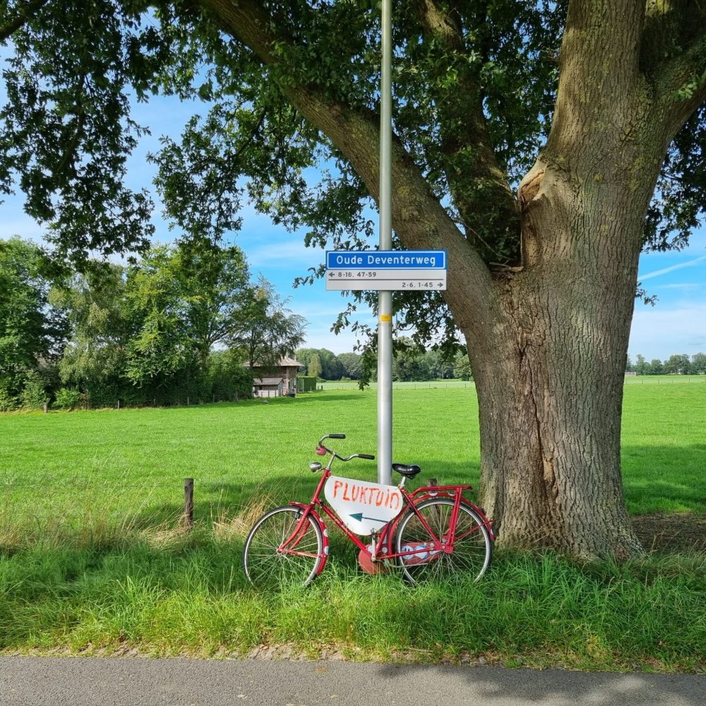 Pluktuin Dijkerhoek Fiets