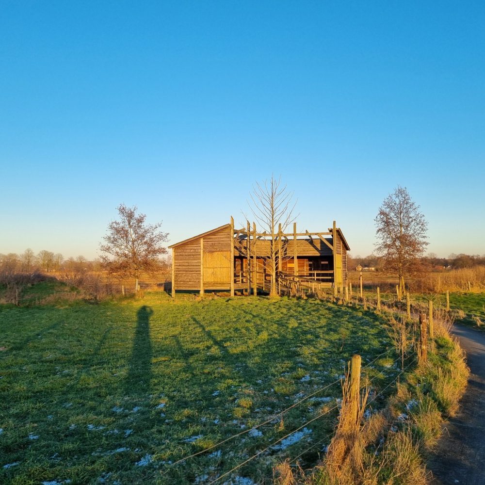 Vogelkijkhut Rijssen