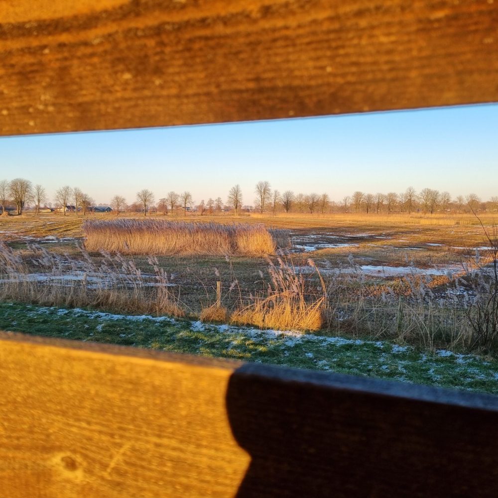 Winters Vogel Uitkijkpunt