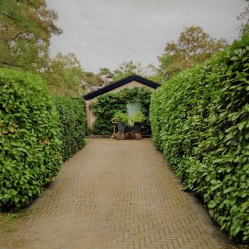 Vakantiehuis oprijlaan