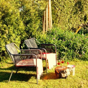 Vakantiehuis Holten wijntje