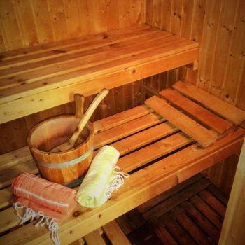 Vakantiehuis met sauna Overijssel Bonte Specht