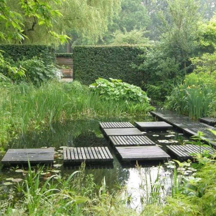 Moerastuin Mien Ruys